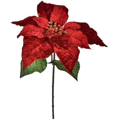Bianchi Dino Étoile De Noël Fleur 27x72cm Rouge Velours Décoration De Noël - Publicité Bianchi Dino Étoile De Noël Fleur 27x72cm Rouge Velours Décoration De Noël - Publicité