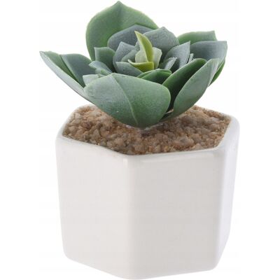 Sans Marque Plante Succulente Artificielle En Pot 6,5 X 10 Cm - Publicité Sans Marque Plante Succulente Artificielle En Pot 6,5 X 10 Cm - Publicité