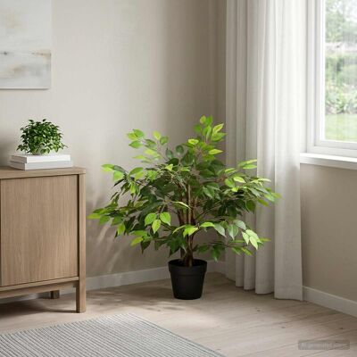 Plante Ficus Artificielle Vert 73 X 16 X 60 Cm Tissu Et Bois Vidaxl - Publicité Plante Ficus Artificielle Vert 73 X 16 X 60 Cm Tissu Et Bois Vidaxl - Publicité