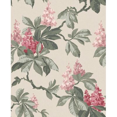 Papier Peint Botanique Ashdown Vert Sauge Chaud Blush Beige Fine Decor - Publicité Papier Peint Botanique Ashdown Vert Sauge Chaud Blush Beige Fine Decor - Publicité