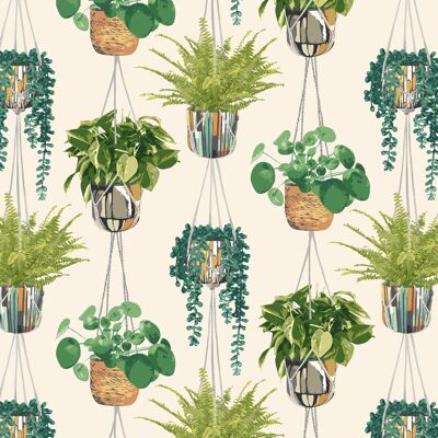 Ohpopsi - Gra50111w - Plantes d’intérieur Sauge & Cidre - Papier peint - Publicité Ohpopsi - Gra50111w - Plantes d’intérieur Sauge & Cidre - Papier peint - Publicité