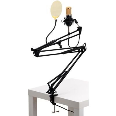 Pronomic Kit Microphone Condensateur Enregistrement Support Bras Or Filtre Antipop Noir - Publicité Pronomic Kit Microphone Condensateur Enregistrement Support Bras Or Filtre Antipop Noir - Publicité
