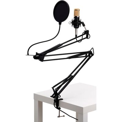 Pronomic Kit Microphone Studio Condensateur Enregistrement Xlr Support Bras Filtre Noir - Publicité Pronomic Kit Microphone Studio Condensateur Enregistrement Xlr Support Bras Filtre Noir - Publicité