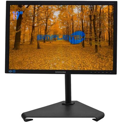 Samsung S19e450 Écran Moniteur 19\" 16:9 Vga Vesa Tn Lcd Noir Pc Dvr - Publicité Samsung S19e450 Écran Moniteur 19\" 16:9 Vga Vesa Tn Lcd Noir Pc Dvr - Publicité
