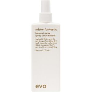 Evo Mister Fantastic Spray de séchage avec protection thermique - 200 ml - Publicité Evo Mister Fantastic Spray de séchage avec protection thermique - 200 ml - Publicité