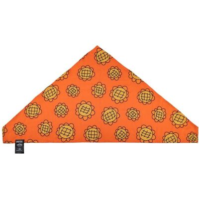 Ensemble Bandana Et Pièces De Baies One Piece Nami Cinereplicas - Publicité Ensemble Bandana Et Pièces De Baies One Piece Nami Cinereplicas - Publicité