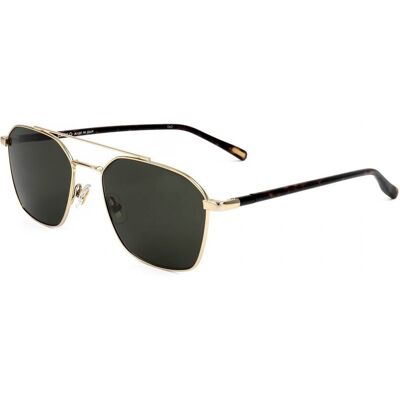 Lunettes De Soleil Safilo Bussola 09/s Gold 55/18/145 Homme - Publicité Lunettes De Soleil Safilo Bussola 09/s Gold 55/18/145 Homme - Publicité