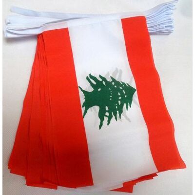 AZ FLAG Guirlande de Drapeaux Libanais - 6m, 20 Drapeaux, 21x15cm - Publicité AZ FLAG Guirlande de Drapeaux Libanais - 6m, 20 Drapeaux, 21x15cm - Publicité