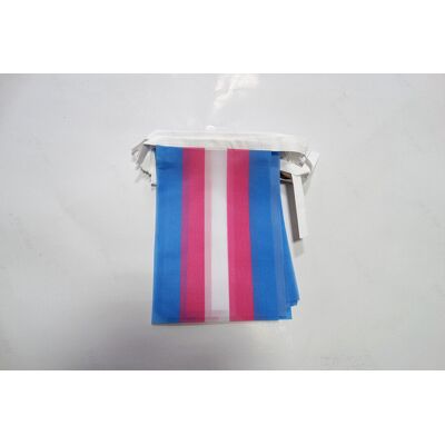 AZ FLAG - Guirlande arc-en-ciel transgenre - 20 drapeaux - Publicité AZ FLAG - Guirlande arc-en-ciel transgenre - 20 drapeaux - Publicité