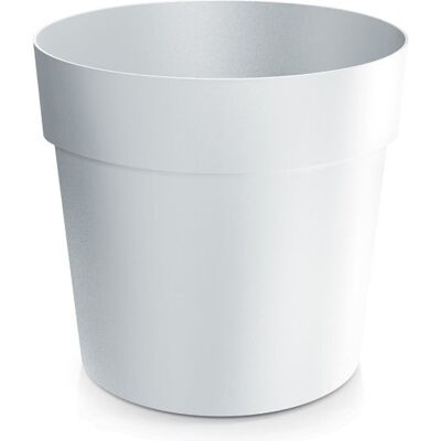 Prosperplast Pot De Fleurs Rond Classique En Plastique Blanc 10,9 Cm Grower - Publicité Prosperplast Pot De Fleurs Rond Classique En Plastique Blanc 10,9 Cm Grower - Publicité
