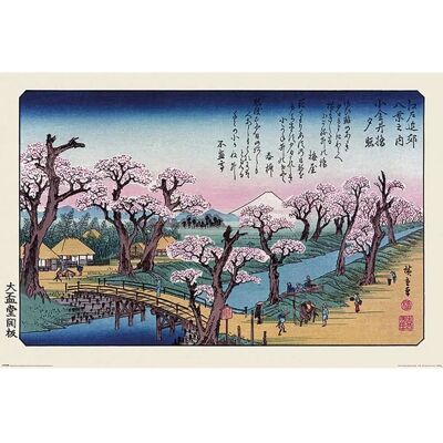 Hiroshige : Mont Fuji - Affiche Du Pont Koganei 61x91 Cm - Pyramid International - Publicité Hiroshige : Mont Fuji - Affiche Du Pont Koganei 61x91 Cm - Pyramid International - Publicité
