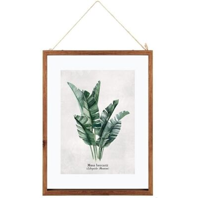 Sans Marque Cadre D'Affiche En Bois Musa 38x48 - Publicité Sans Marque Cadre D'Affiche En Bois Musa 38x48 - Publicité