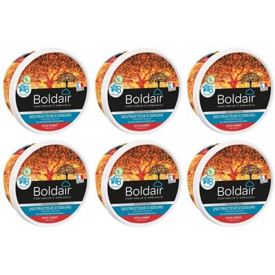 Boldair - Pv56076302-6 - 300 g - Gel Destructeur d'Odeurs - Bois Ambre - Publicité Boldair - Pv56076302-6 - 300 g - Gel Destructeur d'Odeurs - Bois Ambre - Publicité