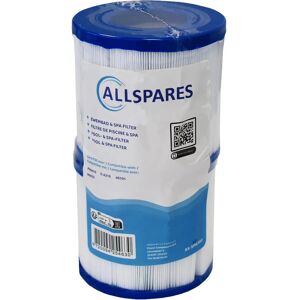 Allspares Filtre Pour Spa (2pcs) Sc750 / 40101 / Pww10 - Publicité Allspares Filtre Pour Spa (2pcs) Sc750 / 40101 / Pww10 - Publicité
