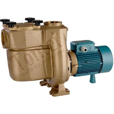 Calpeda Bnmp 50/12g/a Pompe Pour Piscine Eau Mer Amorçante Triphasé 1,5kw Filtre - Publicité Calpeda Bnmp 50/12g/a Pompe Pour Piscine Eau Mer Amorçante Triphasé 1,5kw Filtre - Publicité