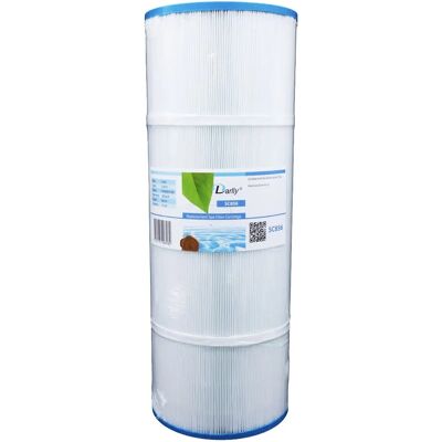 Filtre Pour Waterway Dyna-Flo Xl Pwwdfx100 / Sc856 / C-6310 Par Darlly - Publicité Filtre Pour Waterway Dyna-Flo Xl Pwwdfx100 / Sc856 / C-6310 Par Darlly - Publicité