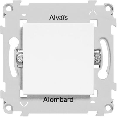 Alb81095 Alvais Schneider Alombard Obturateur Dérivation Fixation Vis - Publicité Alb81095 Alvais Schneider Alombard Obturateur Dérivation Fixation Vis - Publicité