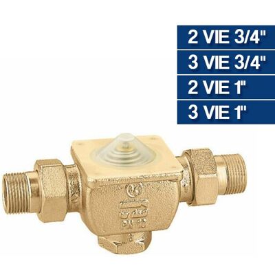 Caleffi Vanne de Zone Pistons 2/3 Voies 3/4" - Publicité Caleffi Vanne de Zone Pistons 2/3 Voies 3/4" - Publicité