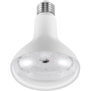 Eurowagens Ampoule Uv Noire E26 15w Lampe Fluorescente De Détection - Publicité Eurowagens Ampoule Uv Noire E26 15w Lampe Fluorescente De Détection - Publicité