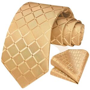 Ociodual Ensemble Cravate Et Pochette De Costume, À Carreaux, Couleur Champagne - Publicité Ociodual Ensemble Cravate Et Pochette De Costume, À Carreaux, Couleur Champagne - Publicité