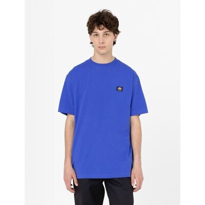 Dickies T-Shirt Mount Vista Col Satin Sky 2023 Manches Courtes Neuf - Publicité Dickies T-Shirt Mount Vista Col Satin Sky 2023 Manches Courtes Neuf - Publicité