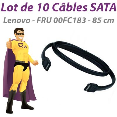 IBM Lot 10 Câbles Sata Lenovo Fru 00fc183 85cm Noirs - Publicité IBM Lot 10 Câbles Sata Lenovo Fru 00fc183 85cm Noirs - Publicité