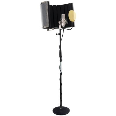 Pronomic Micophone A Condensateur Studio Enregistrement Kit Support Anti-Pop Cable Argent - Publicité Pronomic Micophone A Condensateur Studio Enregistrement Kit Support Anti-Pop Cable Argent - Publicité