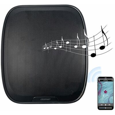 Auvisio Haut-Parleur Mural Rechargeable Avec Radio Et Fonction Bluetooth - Coloris Noir - Publicité Auvisio Haut-Parleur Mural Rechargeable Avec Radio Et Fonction Bluetooth - Coloris Noir - Publicité