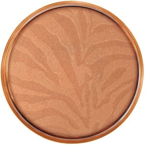 Maybelline Dream Terra Sun 03s Tiger - Poudre bronzante - Publicité Maybelline Dream Terra Sun 03s Tiger - Poudre bronzante - Publicité
