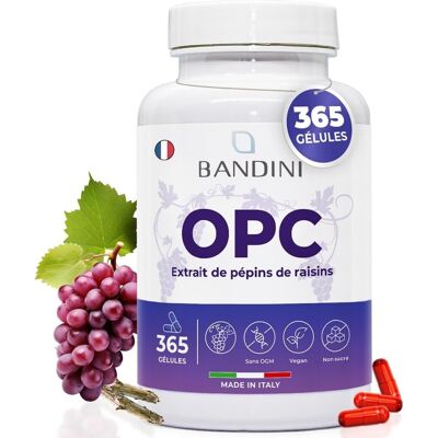 Bandini - OPC Extrait De Pépins De Raisin - 365 Gélules - Supplement - Publicité Bandini - OPC Extrait De Pépins De Raisin - 365 Gélules - Supplement - Publicité