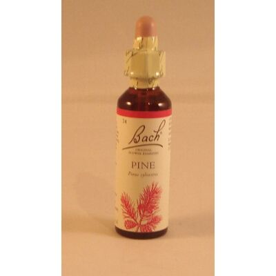 Bach Fleurs Remèdes Pin 20 Ml Gouttes Dlc 02/2030 - Publicité Bach Fleurs Remèdes Pin 20 Ml Gouttes Dlc 02/2030 - Publicité