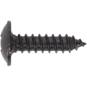 Sealey Autotaraudeuses Vis 4.2 X 16mm À Collerette Tête Noir Pozi Paquet De 100 - - Publicité Sealey Autotaraudeuses Vis 4.2 X 16mm À Collerette Tête Noir Pozi Paquet De 100 - - Publicité