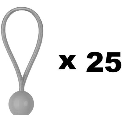 GT GARDEN Modèle - 25 Tendeurs avec Boule - Outil de Jardin - Publicité GT GARDEN Modèle - 25 Tendeurs avec Boule - Outil de Jardin - Publicité