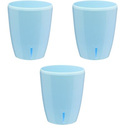 GT GARDEN - Orchidea Bleu - 2 L - Pot - Publicité GT GARDEN - Orchidea Bleu - 2 L - Pot - Publicité