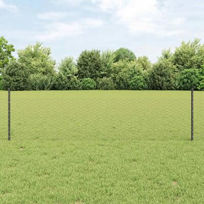 Ensemble de Clôtures de Jardin vidaXL - Barrière Hexagonale Métallique Durable - Publicité Ensemble de Clôtures de Jardin vidaXL - Barrière Hexagonale Métallique Durable - Publicité