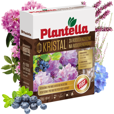 Unichem Plantella Engrais Minéral Pour Rhododendrons, Hortensias, Bruyères, Myrtilles 1 - Publicité Unichem Plantella Engrais Minéral Pour Rhododendrons, Hortensias, Bruyères, Myrtilles 1 - Publicité
