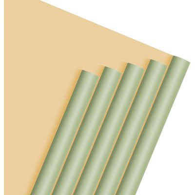 Uxcell 20 Feuilles Papier Cadeau Fleurs 21,5\\\" X 21,5\\\" Beige/vert Pour Marque - Publicité Uxcell 20 Feuilles Papier Cadeau Fleurs 21,5\\\" X 21,5\\\" Beige/vert Pour Marque - Publicité