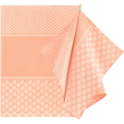 Chiffon De Cuisine En Coton Antibactérien Zwoltex Prymula*ab 200 G 50 X 70 Cm - Publicité Chiffon De Cuisine En Coton Antibactérien Zwoltex Prymula*ab 200 G 50 X 70 Cm - Publicité