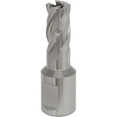 Sealey Rotabor Cutter Hss 12mm - Profondeur De Coupe 25mm Rbhss12s - Publicité Sealey Rotabor Cutter Hss 12mm - Profondeur De Coupe 25mm Rbhss12s - Publicité