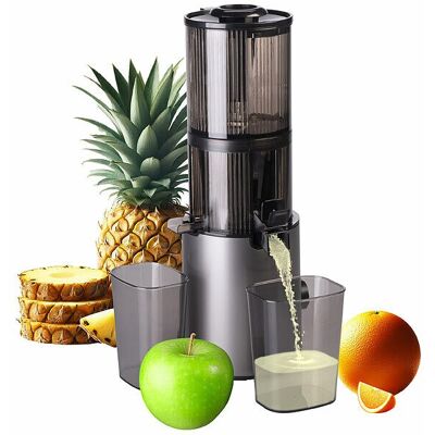 Extracteur De Jus Électrique À Rotation Lente 200 w - Rosenstein & Söhne - Publicité Extracteur De Jus Électrique À Rotation Lente 200 w - Rosenstein & Söhne - Publicité
