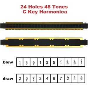 Sans Marque/générique Harmonica Professionnelle En Do Majeur 24 Trous Polyphonie Diatonique Avec Ét - Publicité Sans Marque/générique Harmonica Professionnelle En Do Majeur 24 Trous Polyphonie Diatonique Avec Ét - Publicité