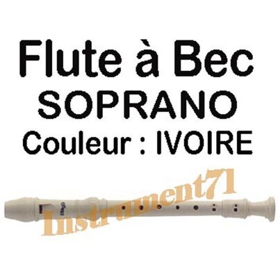 Stagg Flûte À Bec Doigté Baroque Soprano En Ut Avec Ecouvillon Et Pochette - Publicité Stagg Flûte À Bec Doigté Baroque Soprano En Ut Avec Ecouvillon Et Pochette - Publicité
