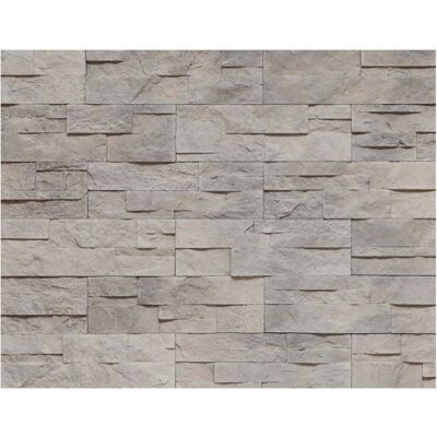 Sans Marque Kamień Elewacyjny 30,8x10cm Ścienny Betonowy Zewnętrzny I Wewnętrzny 0,49m2 - Publicité Sans Marque Kamień Elewacyjny 30,8x10cm Ścienny Betonowy Zewnętrzny I Wewnętrzny 0,49m2 - Publicité