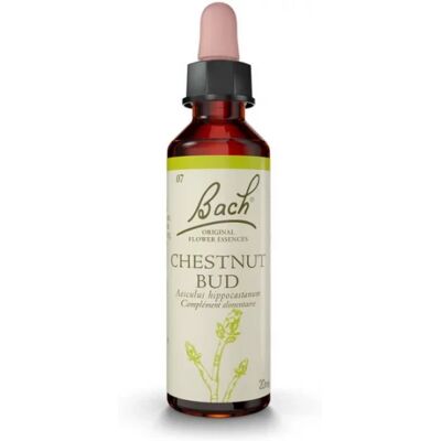 Parapharmacie en ligne > Bio & médecine naturelle > Produits de médecines naturelles > Fleurs de Bach Fleurs de Bach Chestnut Bud Gouttes 20 ml - Publicité Parapharmacie en ligne > Bio & médecine naturelle > Produits de médecines naturelles > Fleurs de Bach Fleurs de Bach Chestnut Bud Gouttes 20 ml - Publicité