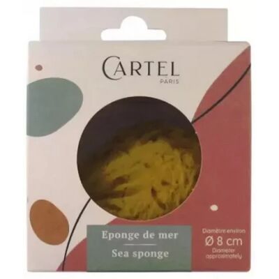 Éponge Naturelle de Mer Petite de Cartel - Outil de Bain - Publicité Éponge Naturelle de Mer Petite de Cartel - Outil de Bain - Publicité