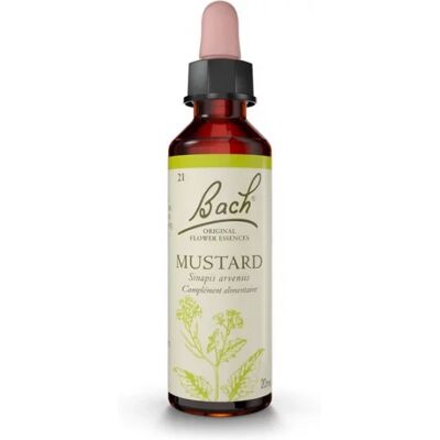 Parapharmacie en ligne > Bio & médecine naturelle > Produits de médecines naturelles > Fleurs de Bach Fleurs de Bach Mustard Gouttes 20 ml - Publicité Parapharmacie en ligne > Bio & médecine naturelle > Produits de médecines naturelles > Fleurs de Bach Fleurs de Bach Mustard Gouttes 20 ml - Publicité