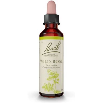 Parapharmacie en ligne > Bio & médecine naturelle > Produits de médecines naturelles > Fleurs de Bach Fleurs de Bach Wild Rose 20 ml - Publicité Parapharmacie en ligne > Bio & médecine naturelle > Produits de médecines naturelles > Fleurs de Bach Fleurs de Bach Wild Rose 20 ml - Publicité