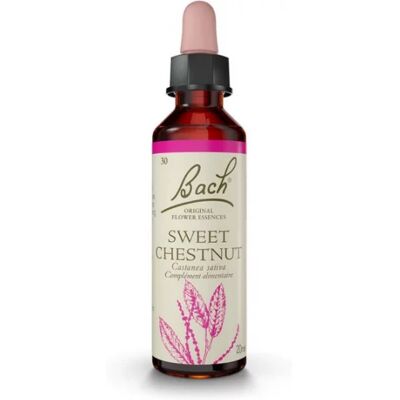 Parapharmacie en ligne > Bio & médecine naturelle > Produits de médecines naturelles > Fleurs de Bach Fleurs de Bach Sweet Chestnut Gouttes 20 ml - Publicité Parapharmacie en ligne > Bio & médecine naturelle > Produits de médecines naturelles > Fleurs de Bach Fleurs de Bach Sweet Chestnut Gouttes 20 ml - Publicité