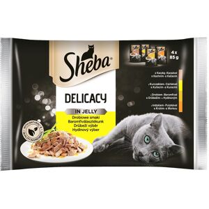 SHEBA Delicacy in Jelly Sachet d'arômes de volaille 4 x 85g - Publicité SHEBA Delicacy in Jelly Sachet d'arômes de volaille 4 x 85g - Publicité