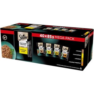 Sheba Sélection Saveurs Volaille Nourriture Humide pour Chats - 40 x 85G - Publicité Sheba Sélection Saveurs Volaille Nourriture Humide pour Chats - 40 x 85G - Publicité